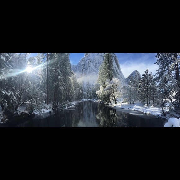 Meet your Posher, Logan - Picture 1 of 1