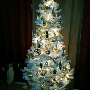 Meet your Posher, Francis