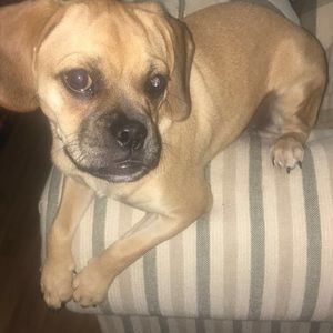 Meet your Posher, Melissa