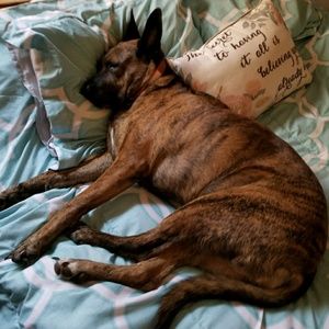 Meet your Posher, Denise