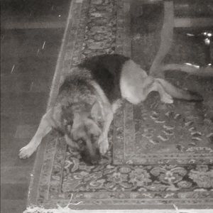 Meet your Posher, Stacey