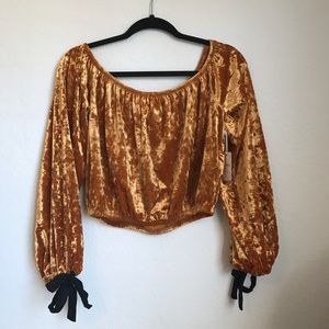 Gold Velvet Off the shoulder crop top