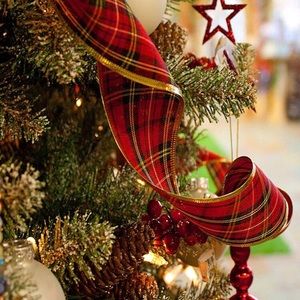 Meet your Posher, Krystal