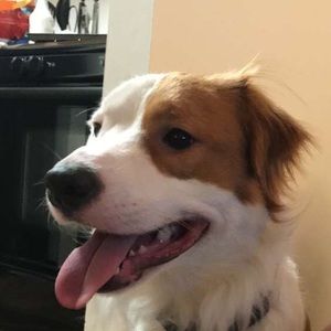 Meet your Posher, Maggie