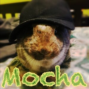 Meet your Posher, Sergio