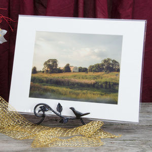 Remnant of Better Days Wall Art Landscape Photo