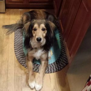 Meet your Posher, Tanya