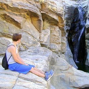 Meet your Posher, Willie