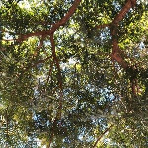 Meet your Posher, Benjamin