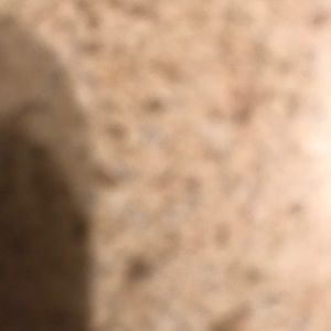 Meet your Posher, Bryan