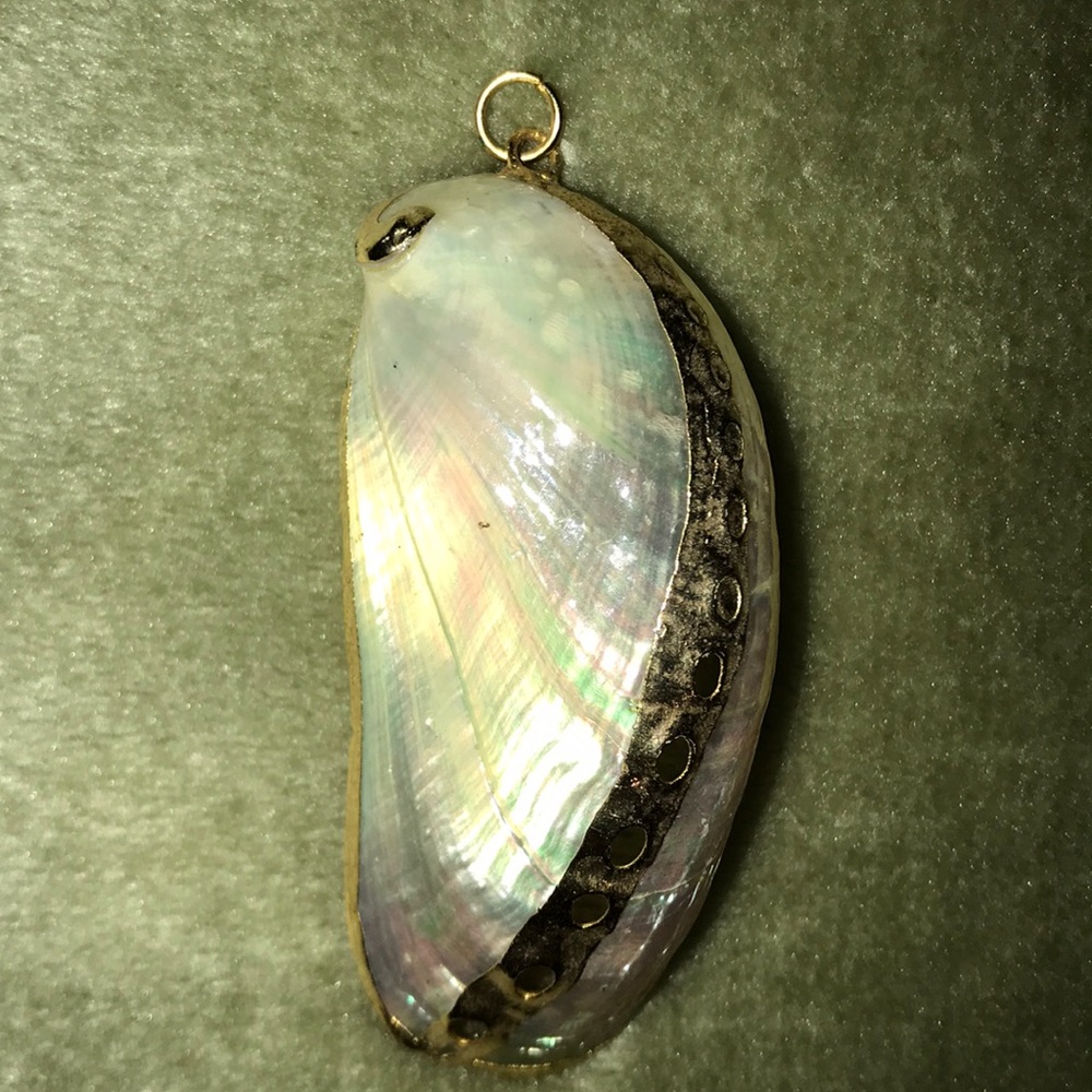 🐚 White Abalone Seashell Pendant