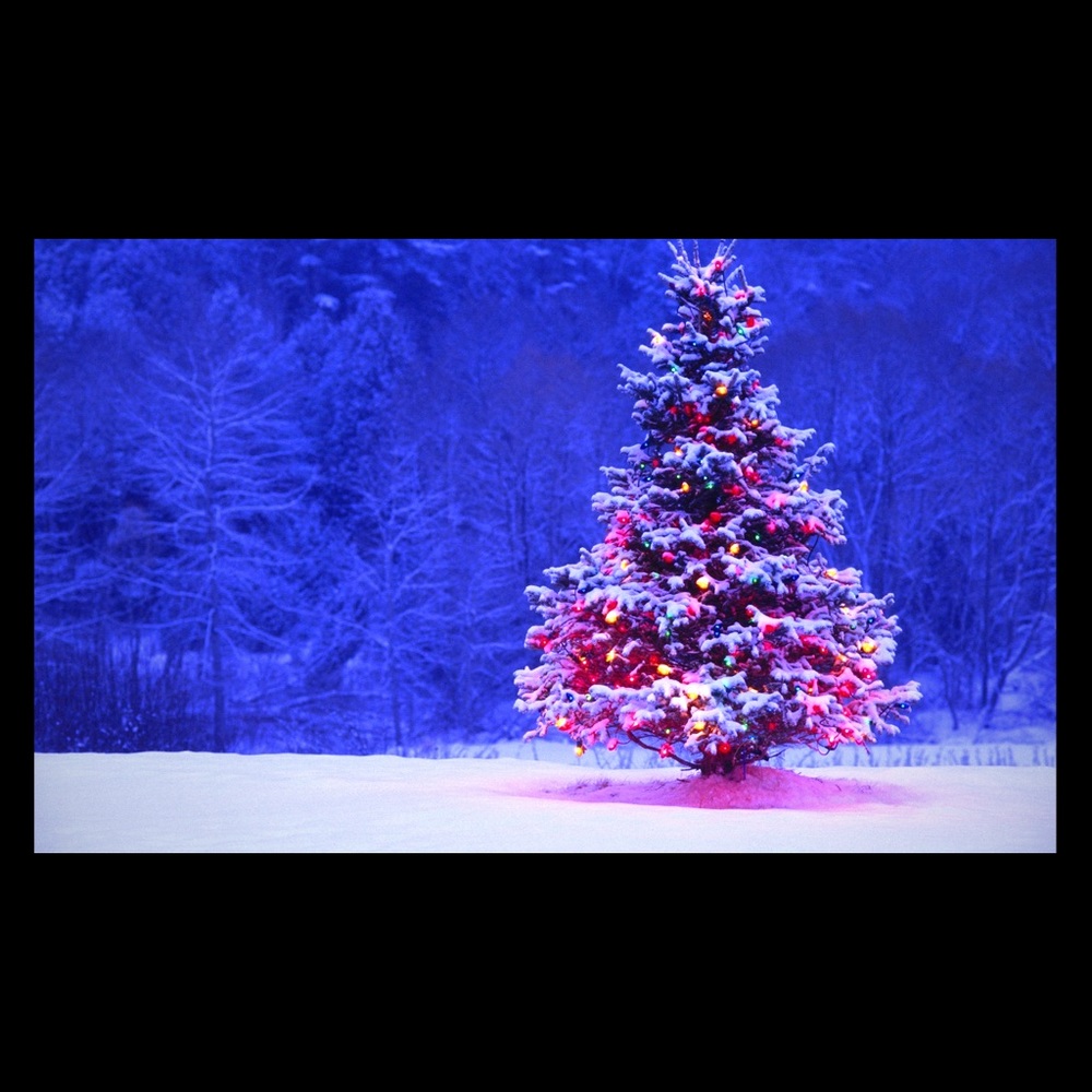 MERRY CHRISTMAS🎄☃️🤶🏼💋💚❤️