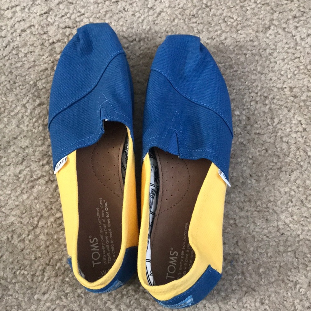 Blue and yellow Toms