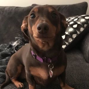 Meet your Posher, Jennifer