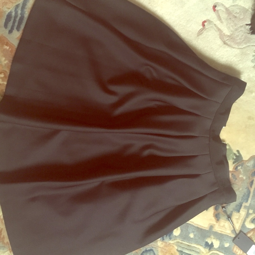Karl Lagerfeld Pleated Skirt