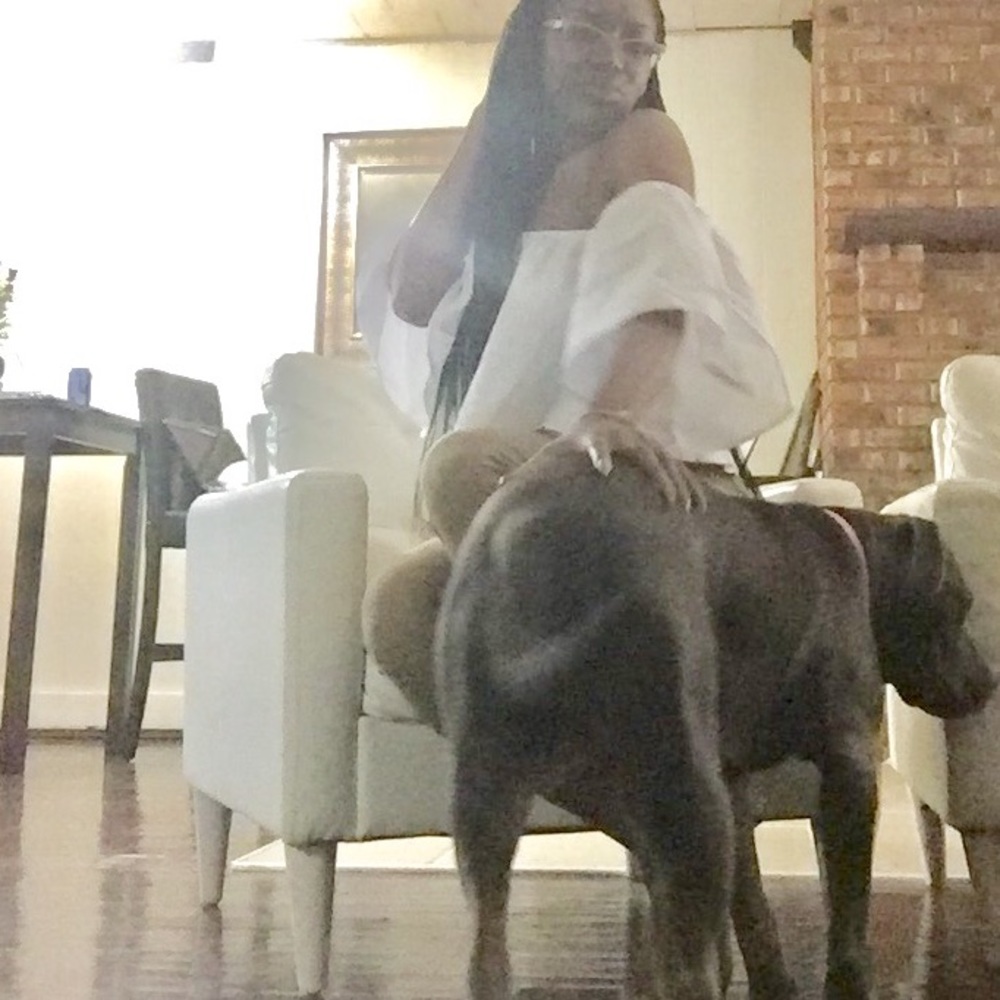 Meet your Posher, Lily