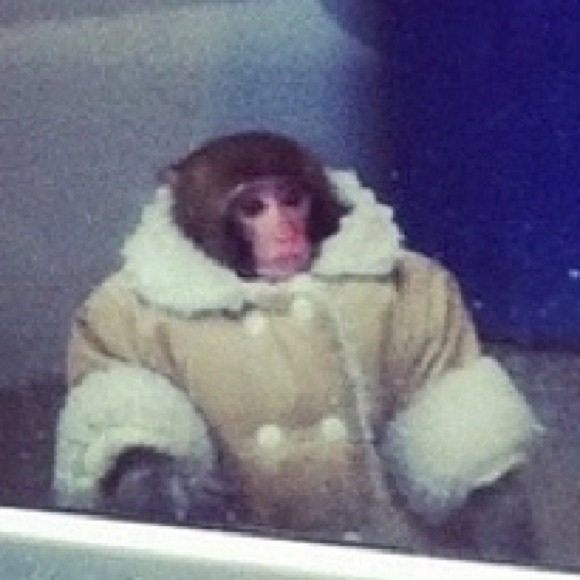 Meet your Posher, Ryan - Picture 1 of 1