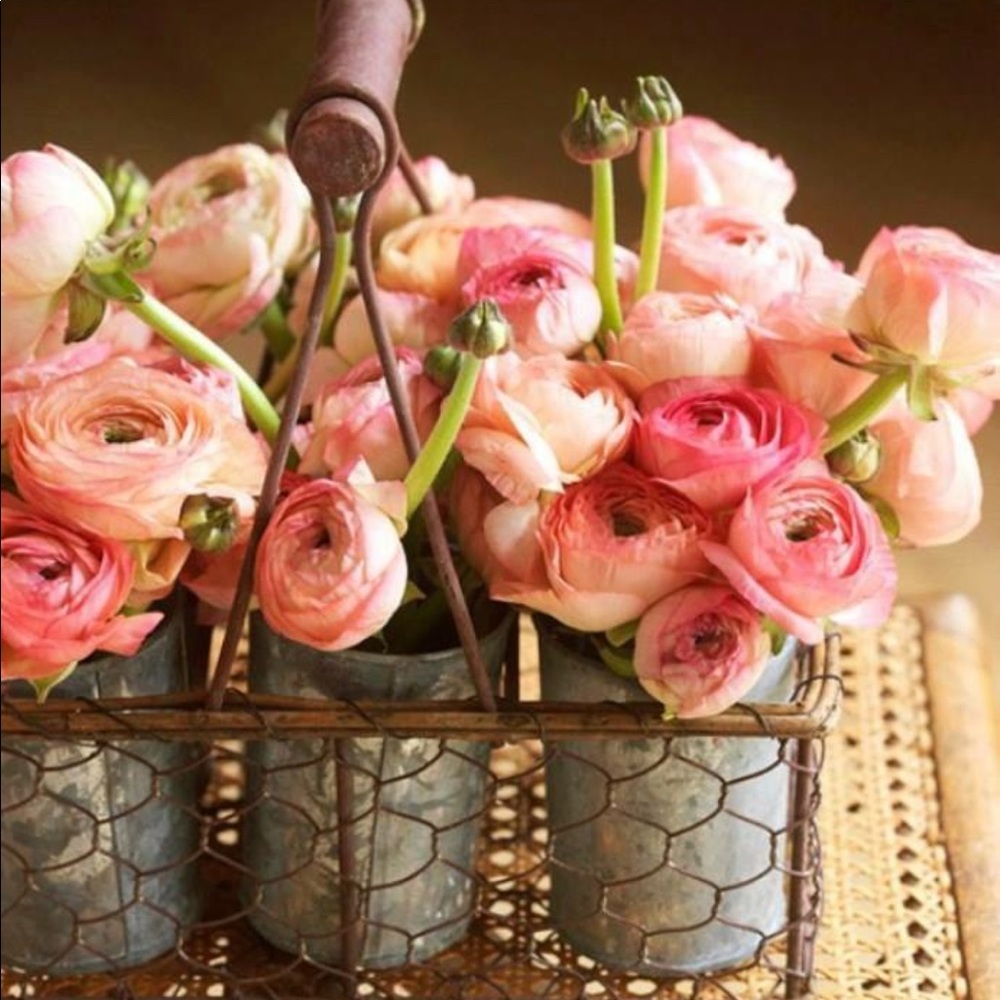 Meet your Posher, Claire