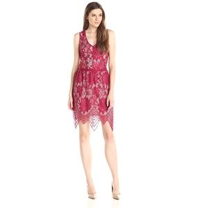 Tart Lila Lace Dress