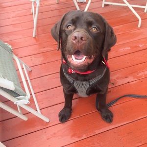 Meet your Posher, Danielle