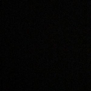 Meet your Posher, Bella