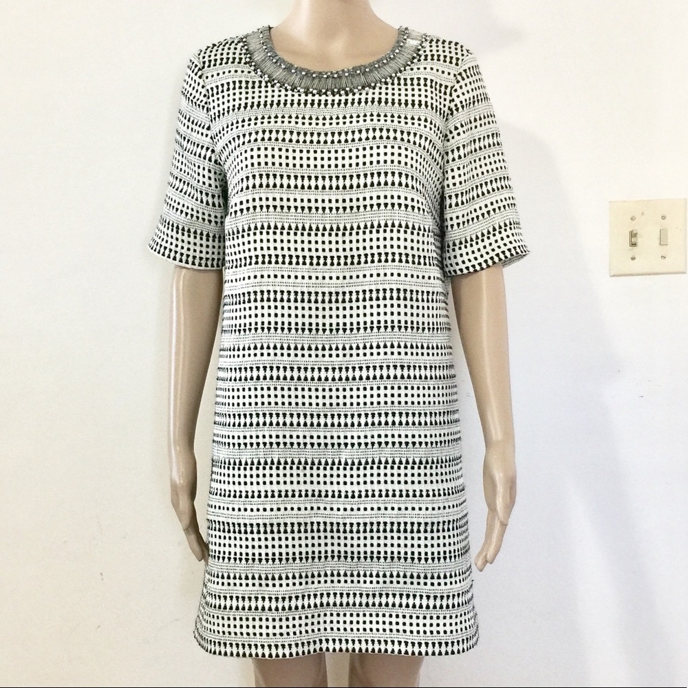 Zara Embellished Neckline Dress