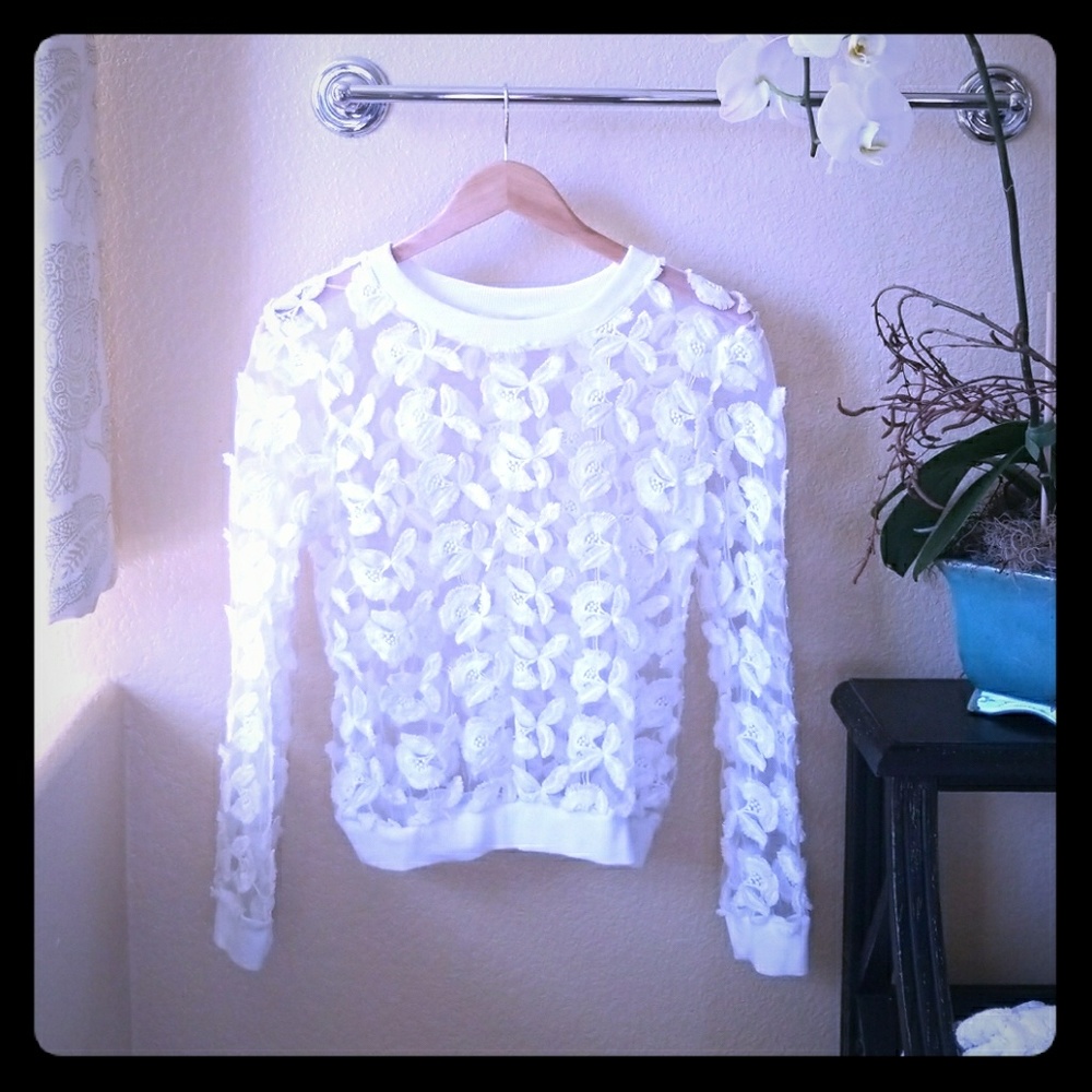 Sheer sweatshirt