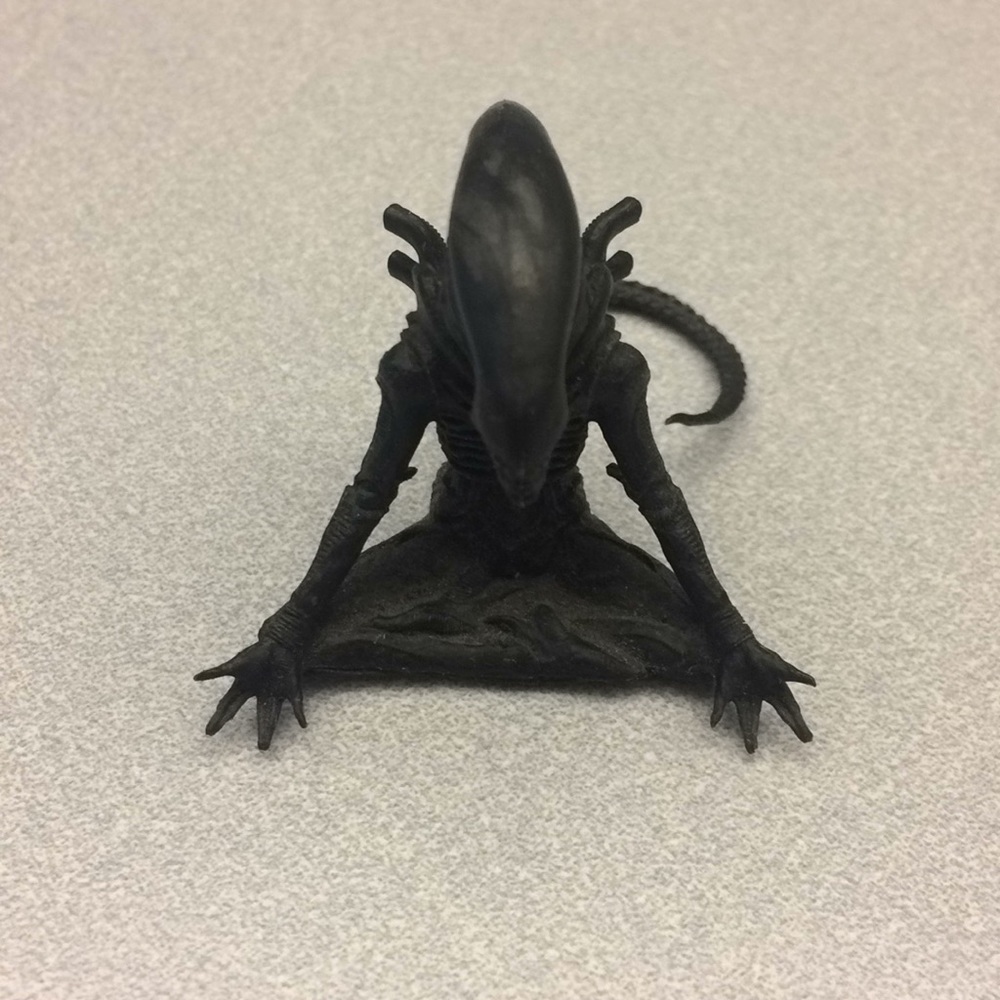 Meet your Posher, Kelsey