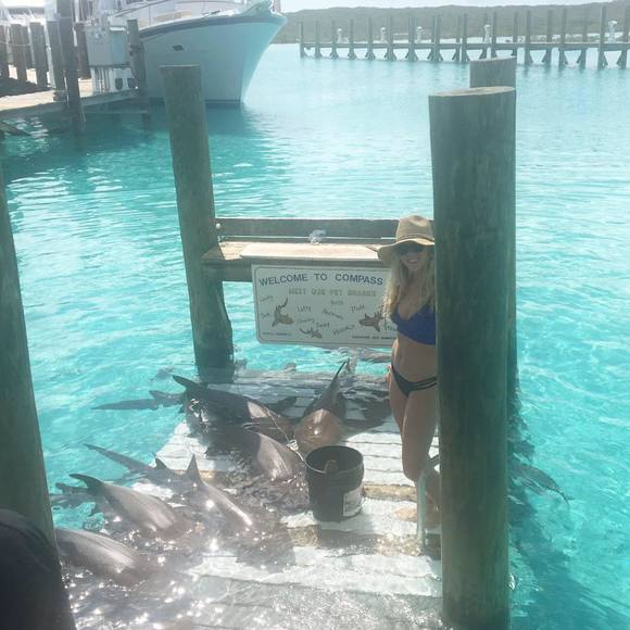 Meet your Posher, Hope - Picture 1 of 1