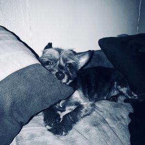 Meet your Posher, Krystal