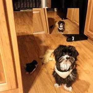 Meet your Posher, Gail