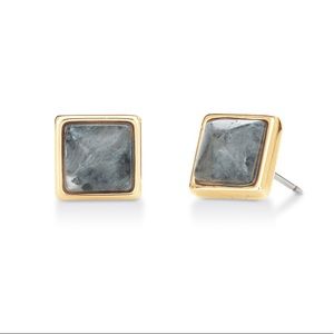 Wishing Stone earrings with Larvikite