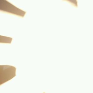 Meet your Posher, Ruby