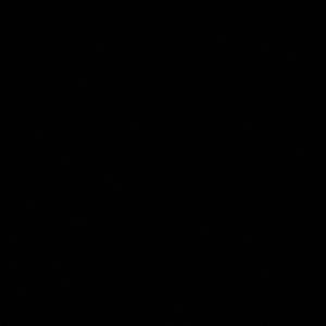 Meet your Posher, Shyheim