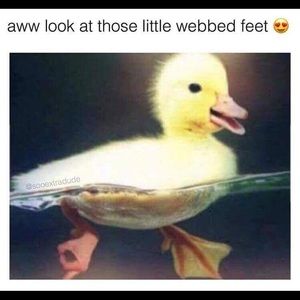 Meet your Posher, Jake