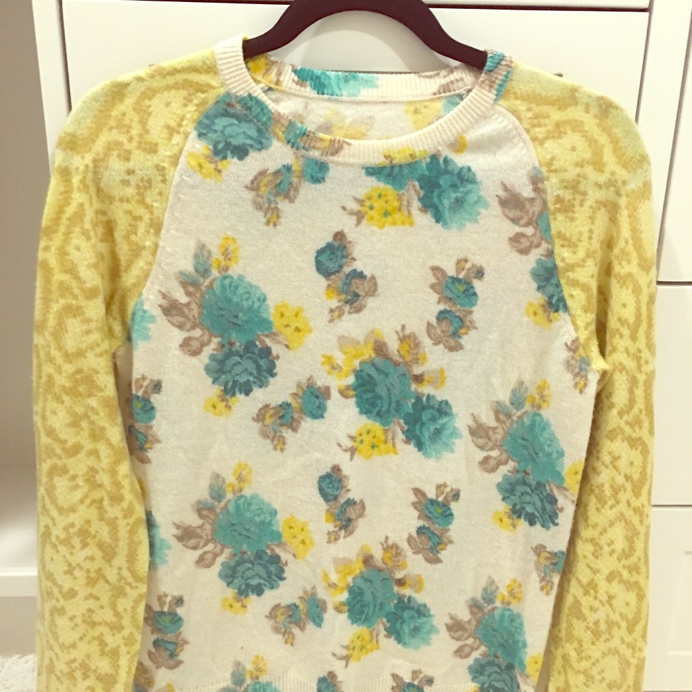 Cashmere Joie Sweater