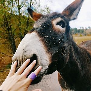 Meet your Posher, Eve