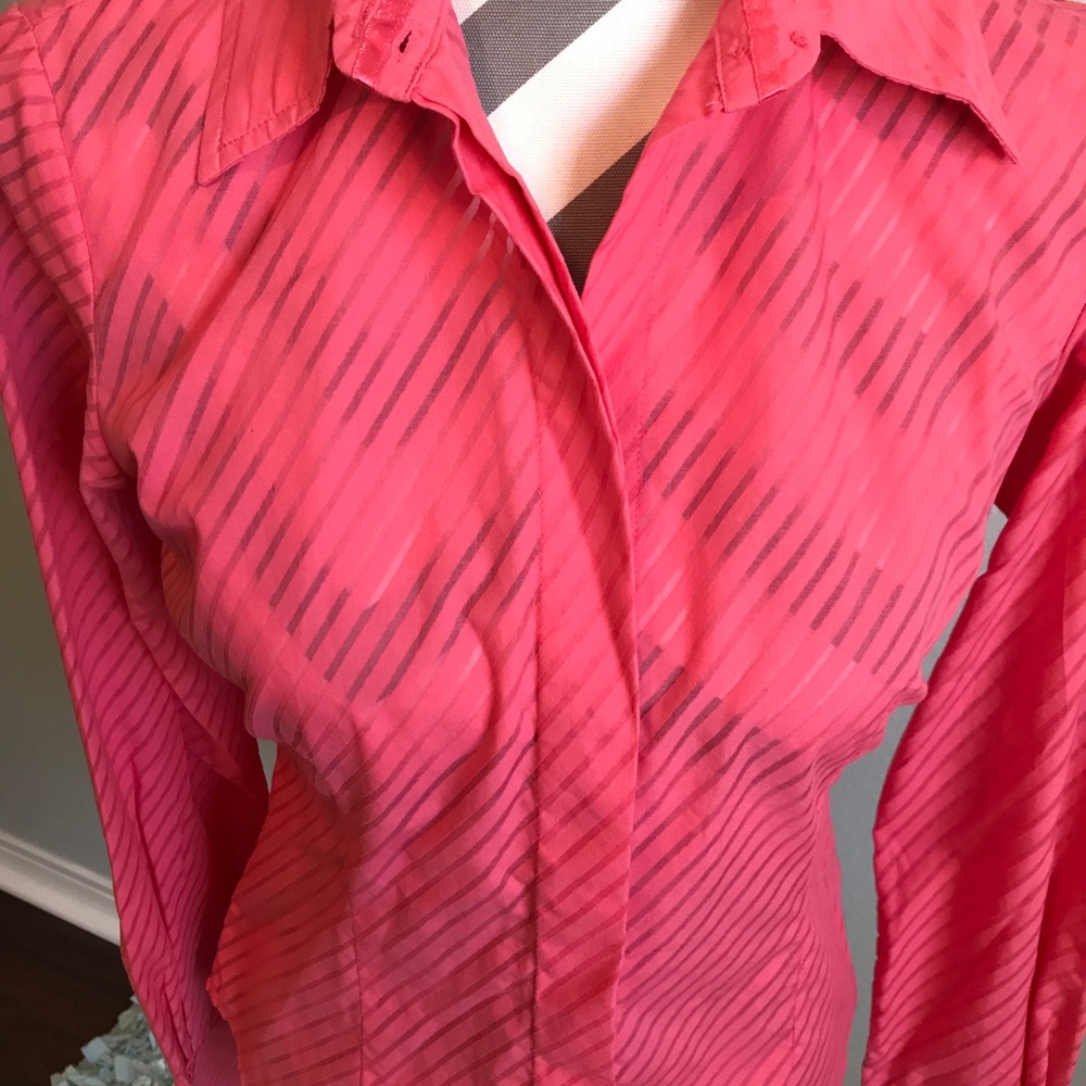 Moda International - Picture 2 of 6