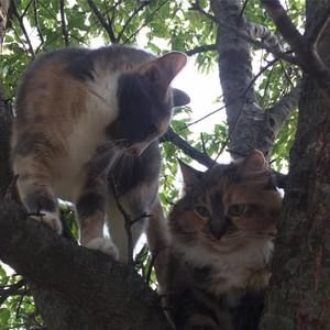 Meet your Posher, Janie