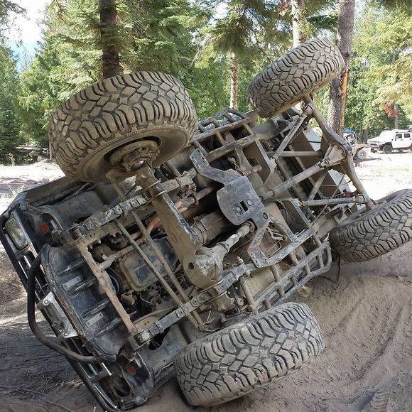 Meet your Posher, Chase - Picture 1 of 1