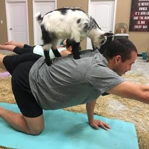 Meet your Posher, Danny