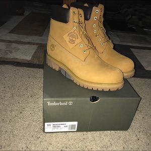 Timberland 6in premium boots