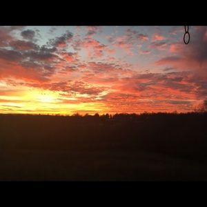 Meet your Posher, Jane