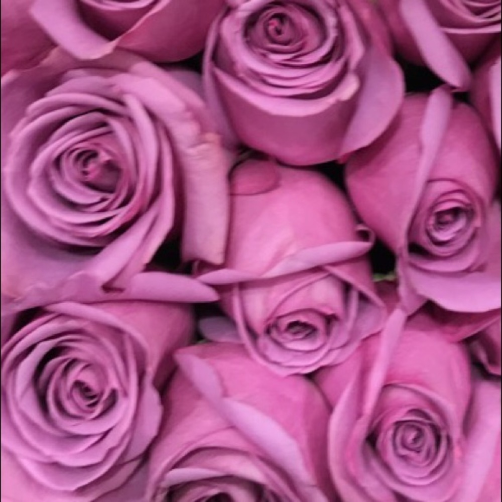 Meet your Posher, Nicole