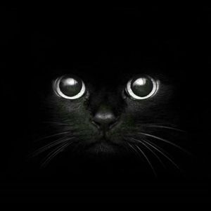 Meet your Posher, Derrick