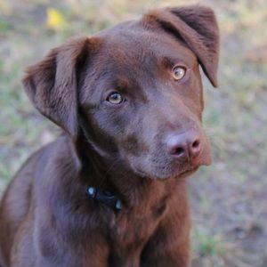 Meet your Posher, Lexi