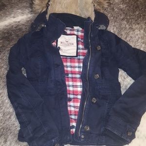 Hollister Coat