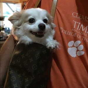 Meet your Posher, Susan