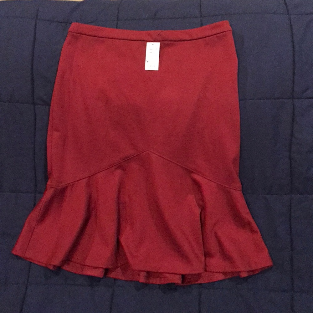NWT The Limited skirt