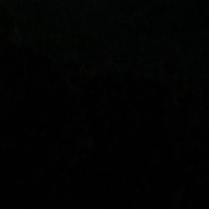 Meet your Posher, Josie